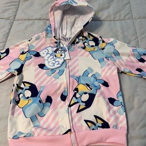 Kids Hoodie - Pink and Blue